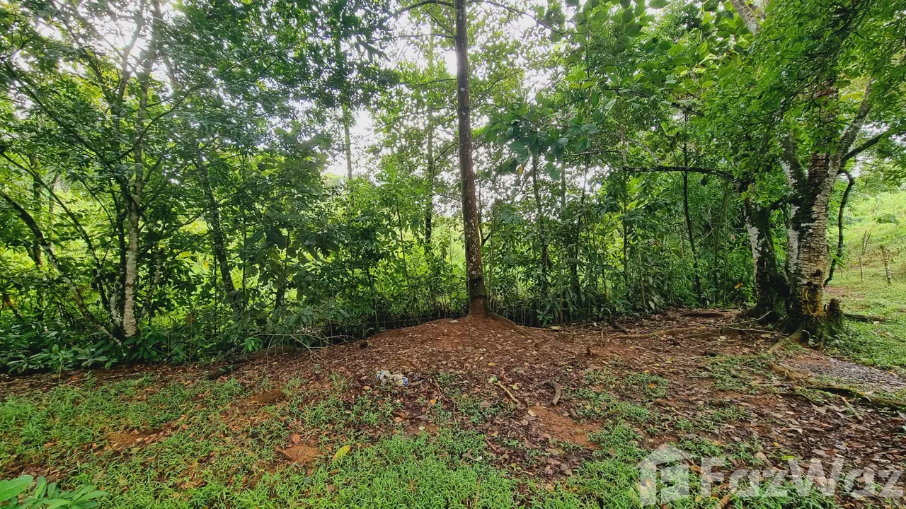 Land for Sale in Perez Zeledon, San Jose for $115,000, photo 6