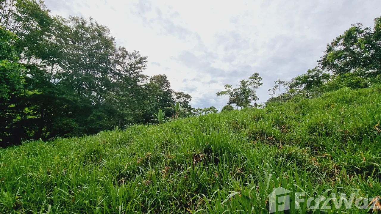 Land for Sale in Perez Zeledon, San Jose for $115,000, photo 7