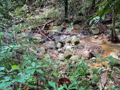 Terreno en Venta con Ubicación Atractiva en Ojochal, photo 2
