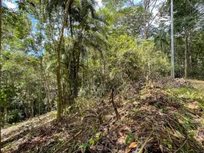 Terreno en Venta con Ubicación Atractiva en Ojochal, photo 3