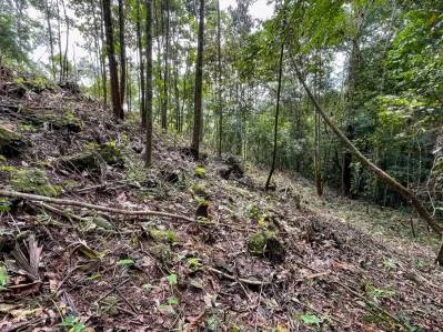 Terreno en Venta con Ubicación Atractiva en Ojochal, photo 4