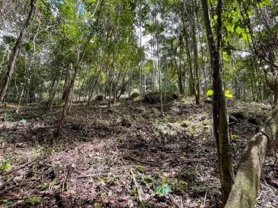 Terreno en Venta con Ubicación Atractiva en Ojochal, photo 5