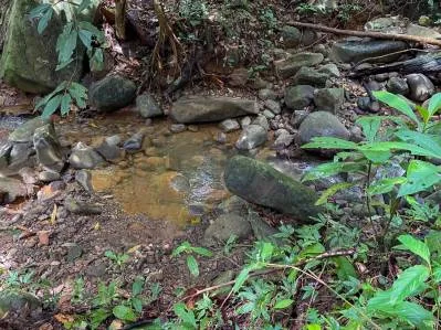 Terreno en Venta con Ubicación Atractiva en Ojochal, photo 8