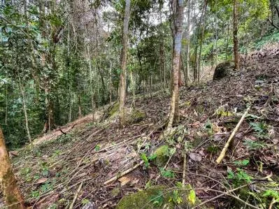 Terreno en Venta con Ubicación Atractiva en Ojochal, photo 9