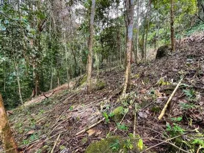 Terreno en Venta con Ubicación Atractiva en Ojochal, photo 10