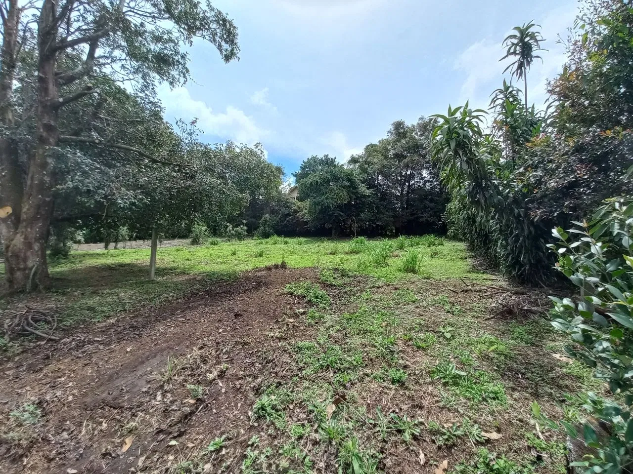 VENTA DE LOTE-SAN JOSÉ DE LA MONTAÑA, BARVA, HEREDIA, photo 4
