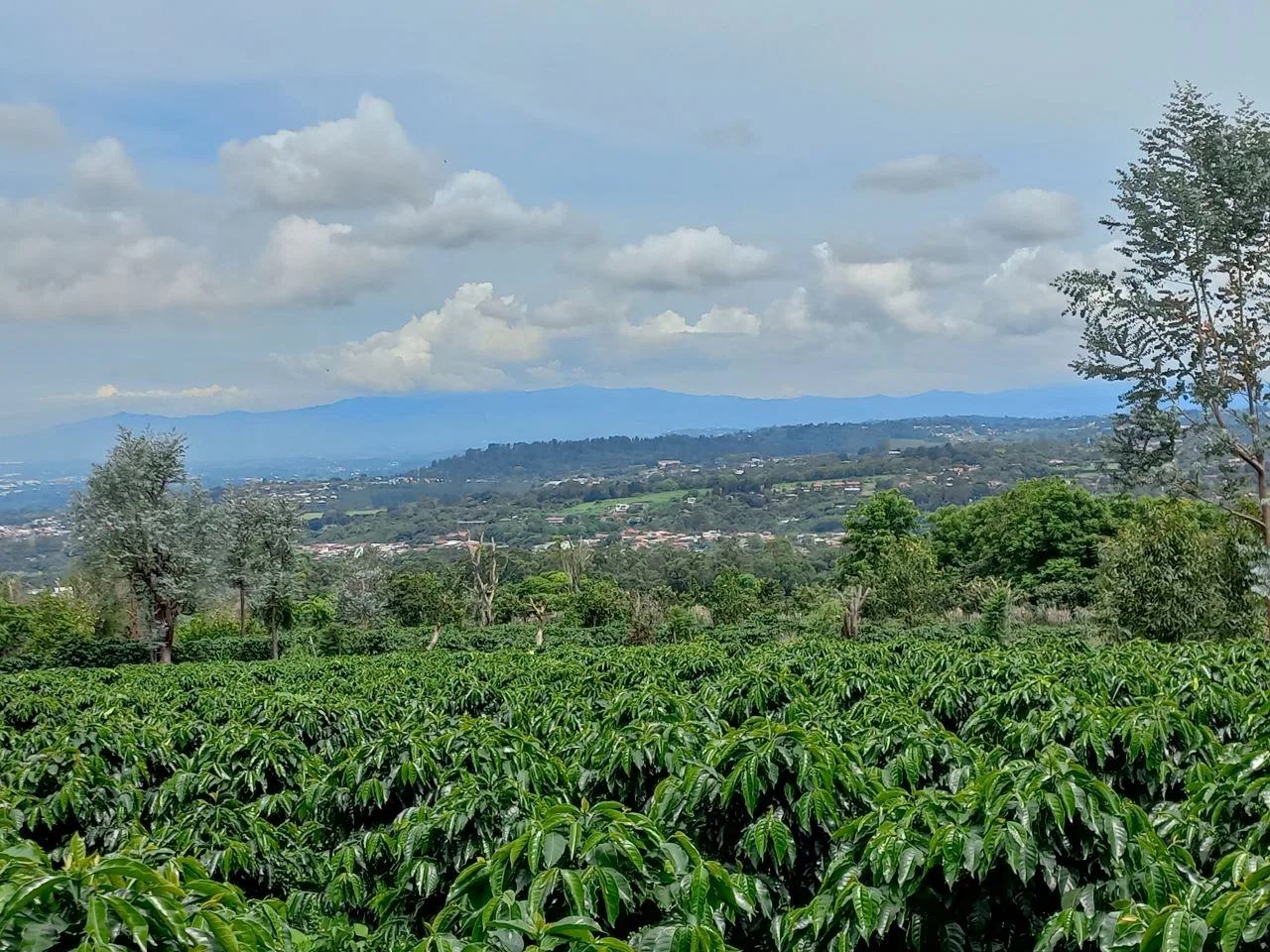 VENTA DE LOTE-SAN JOSÉ DE LA MONTAÑA, BARVA, HEREDIA, photo 5