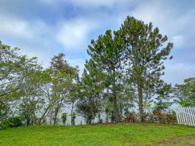Rural Cozy Chalet with Tiny Lovely Guest Casita., photo 5