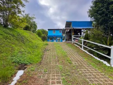 Rural Cozy Chalet with Tiny Lovely Guest Casita., photo 6