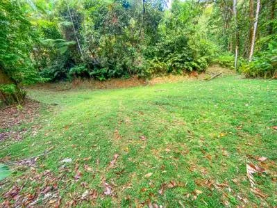 Casa de 3 habitaciones en la selva tropical de Ojochal con río y cascada, photo 7