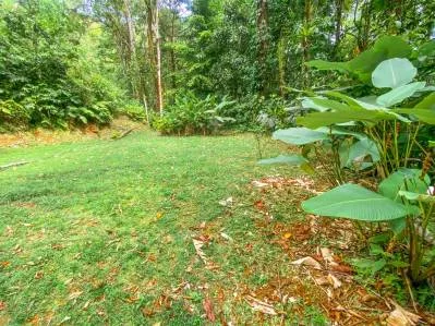 Casa de 3 habitaciones en la selva tropical de Ojochal con río y cascada, photo 8