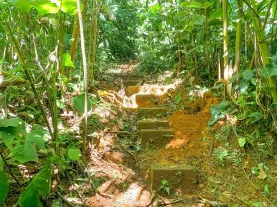 Casa de 3 habitaciones en la selva tropical de Ojochal con río y cascada, photo 10