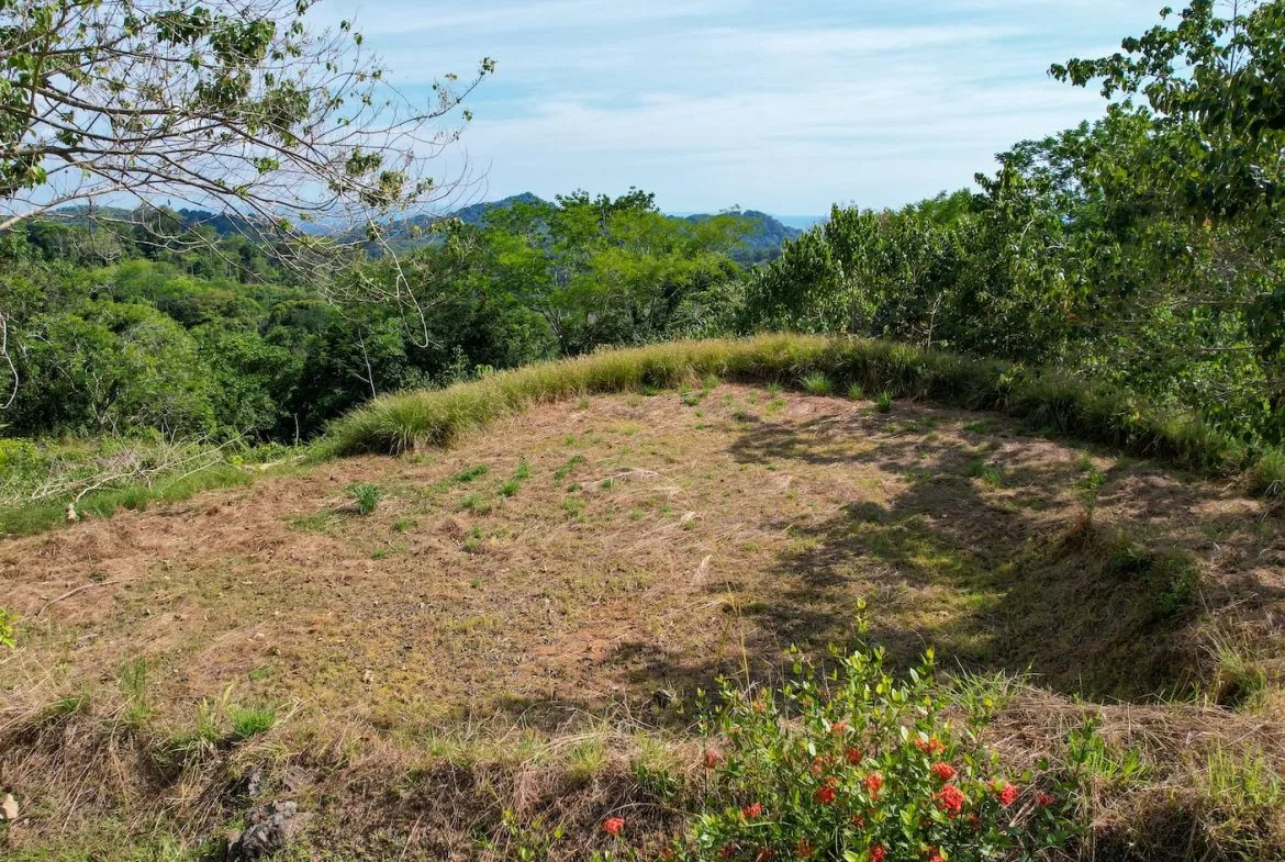 BUILDING PROPERTY IN A GATED COMMUNITY AND PARTIAL OCEAN VIEWS, IN OJOCHAL – 1 ACRES, photo 2