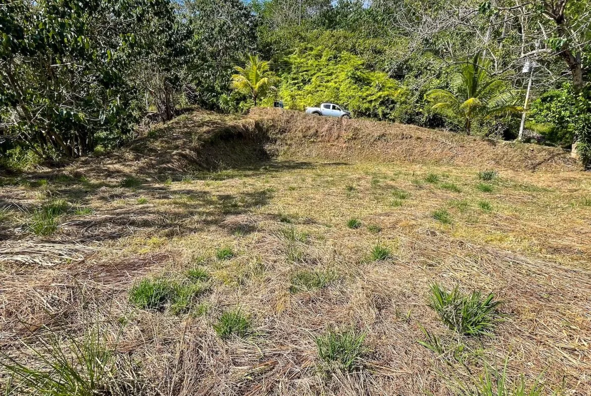 BUILDING PROPERTY IN A GATED COMMUNITY AND PARTIAL OCEAN VIEWS, IN OJOCHAL – 1 ACRES, photo 12