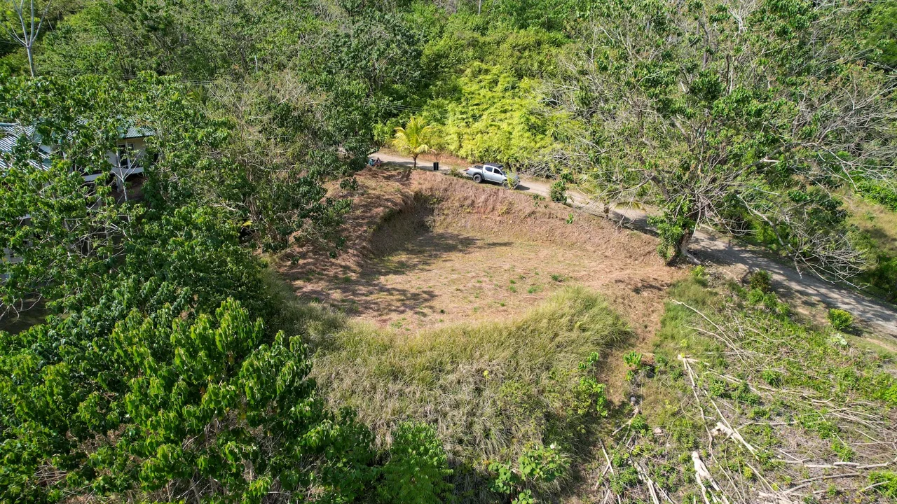 BUILDING PROPERTY IN A GATED COMMUNITY AND PARTIAL OCEAN VIEWS, IN OJOCHAL – 1 ACRES, photo 5