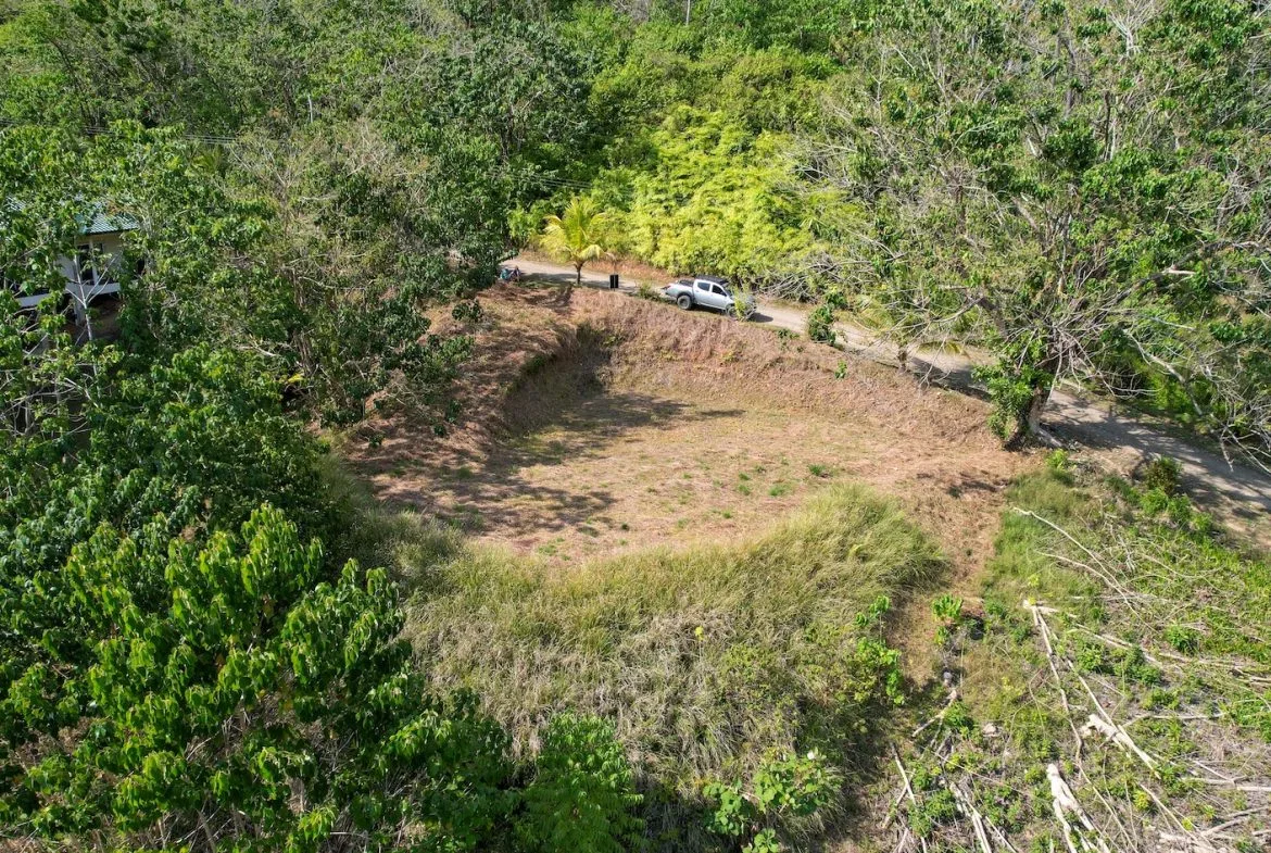 BUILDING PROPERTY IN A GATED COMMUNITY AND PARTIAL OCEAN VIEWS, IN OJOCHAL – 1 ACRES, photo 6