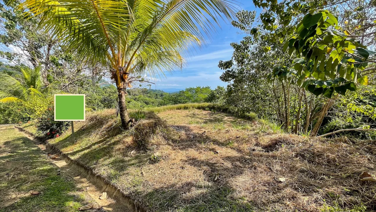 BUILDING PROPERTY IN A GATED COMMUNITY AND PARTIAL OCEAN VIEWS, IN OJOCHAL – 1 ACRES, photo 7