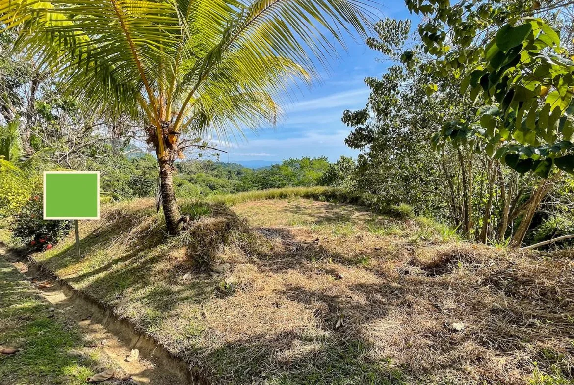 BUILDING PROPERTY IN A GATED COMMUNITY AND PARTIAL OCEAN VIEWS, IN OJOCHAL – 1 ACRES, photo 8