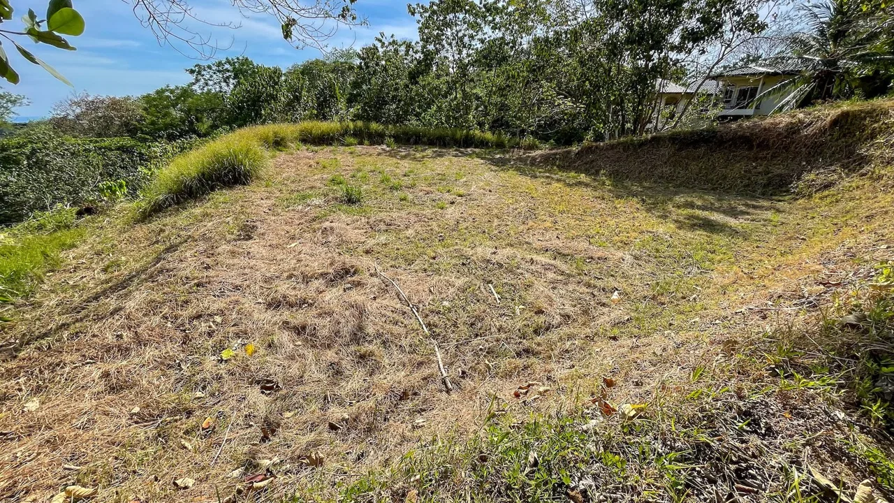 BUILDING PROPERTY IN A GATED COMMUNITY AND PARTIAL OCEAN VIEWS, IN OJOCHAL – 1 ACRES, photo 9