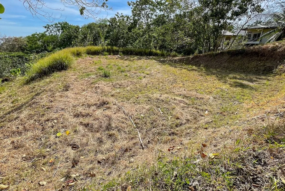 BUILDING PROPERTY IN A GATED COMMUNITY AND PARTIAL OCEAN VIEWS, IN OJOCHAL – 1 ACRES, photo 10