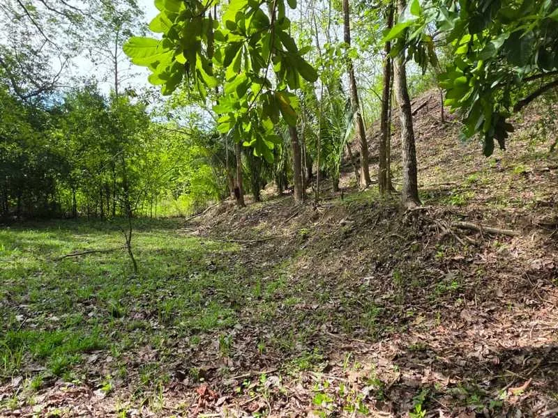 Land For Sale in Samara, photo 2