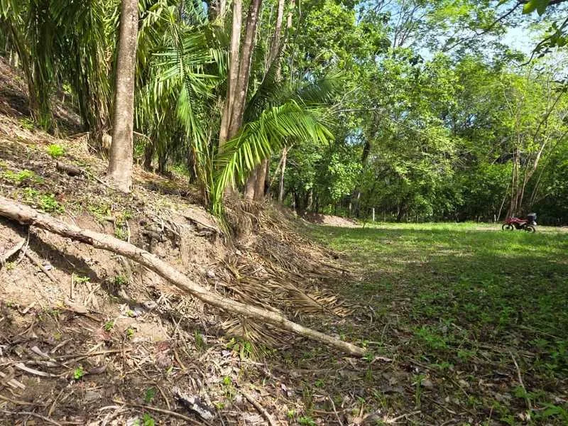 Land For Sale in Samara, photo 3