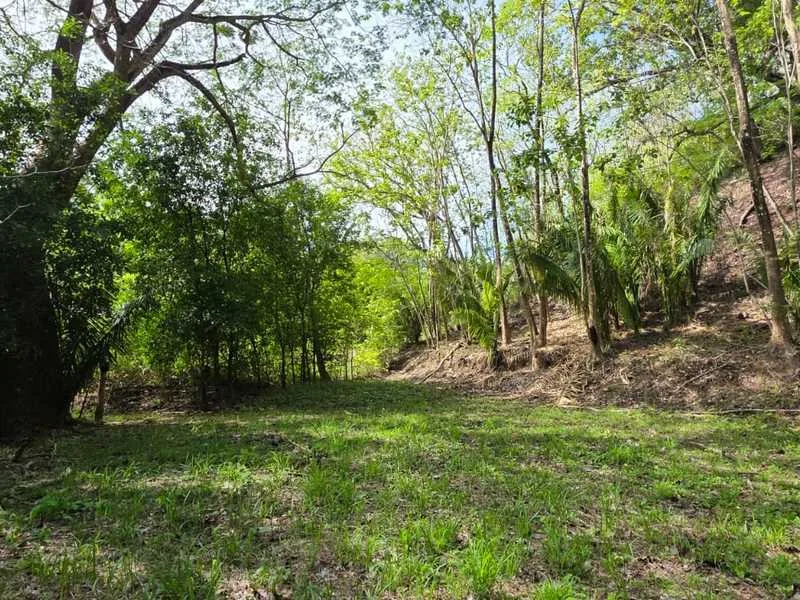 Land For Sale in Samara, photo 5