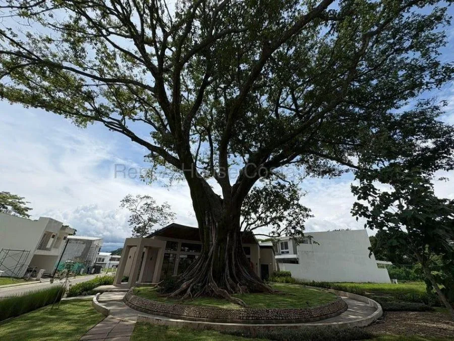Venta de Lote en Santa Ana.  - Venta en Santa Ana, photo 12