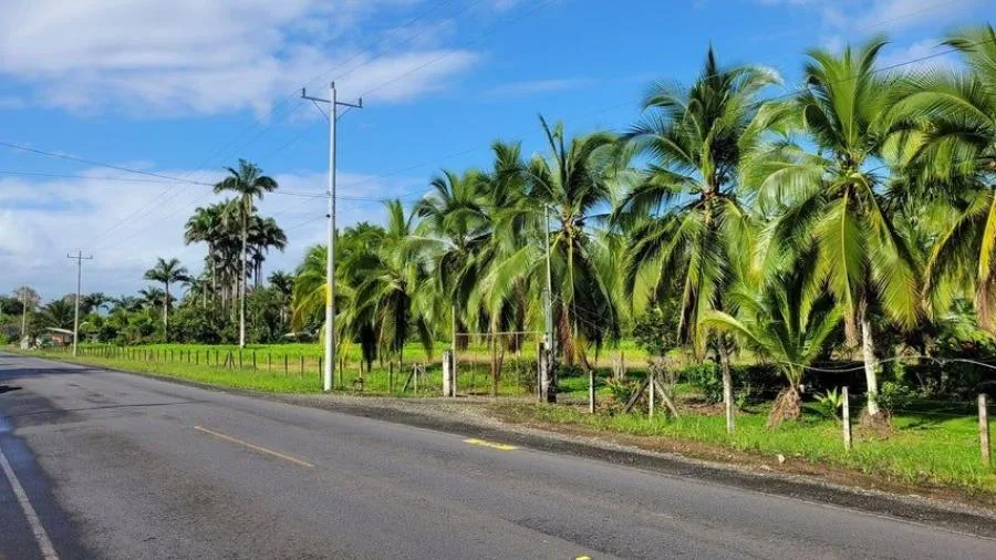Venta de Lote en Santa Ana.  - Venta en Santa Ana, photo 15