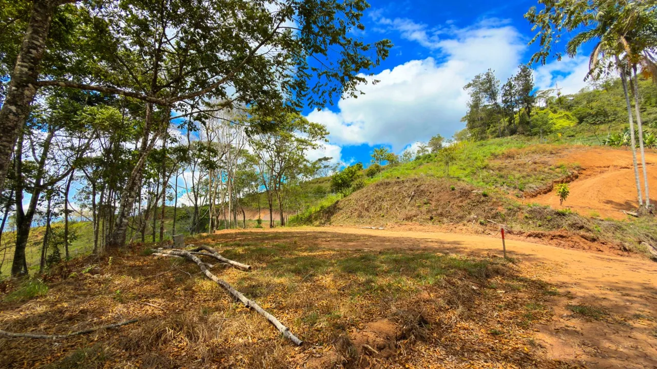 For Sale: Beautiful Mountain 1,300m2 Residential Lot in Quebradas - CR, photo 8