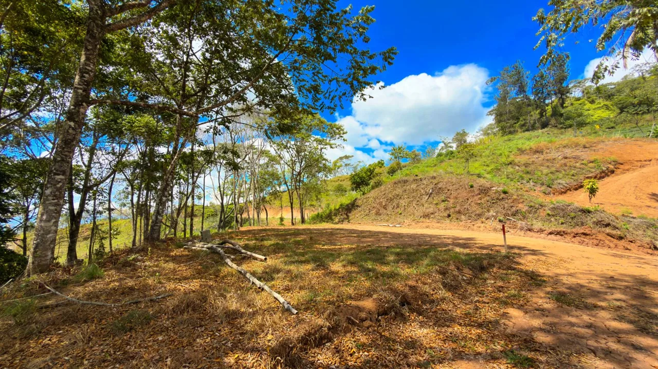 For Sale: Beautiful Mountain 1,300m2 Residential Lot in Quebradas - CR, photo 10