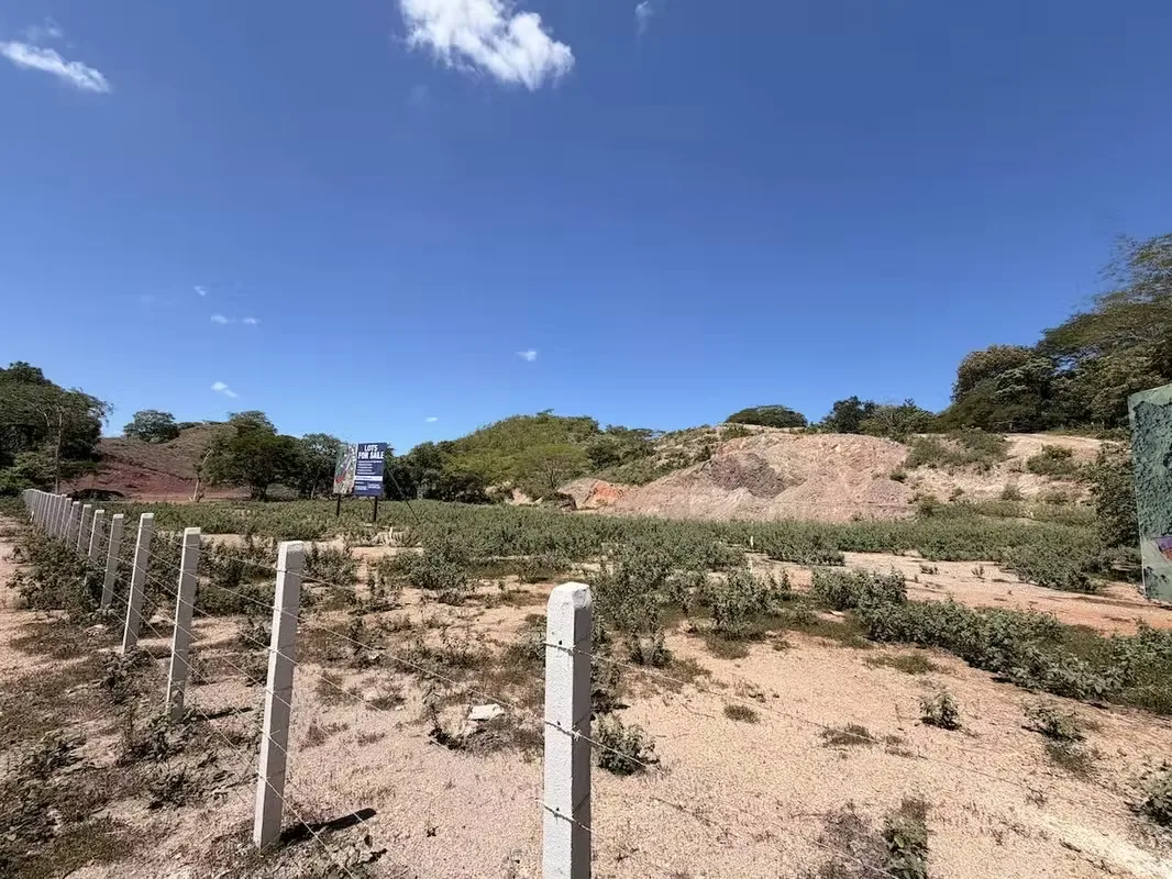 Excelente oportunidad de inversión para desarrollo comercial en una de las zonas de mayor ..., photo 5