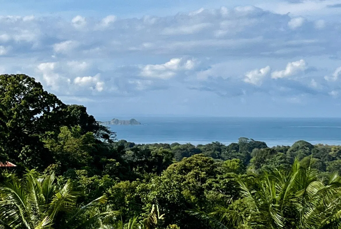 SUNSET ELEGANCE IN UVITA – 1.25 ACRES, photo 5