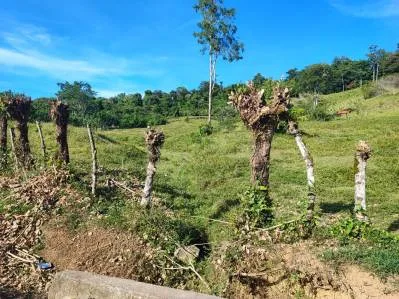 ¡Oportunidad Única! Finca de 6 Hectáreas en el Paraíso de Bribri, Costa Rica, photo 2
