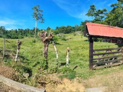 ¡Oportunidad Única! Finca de 6 Hectáreas en el Paraíso de Bribri, Costa Rica, photo 3