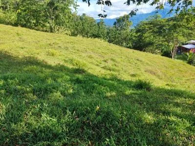 ¡Oportunidad Única! Finca de 6 Hectáreas en el Paraíso de Bribri, Costa Rica, photo 5