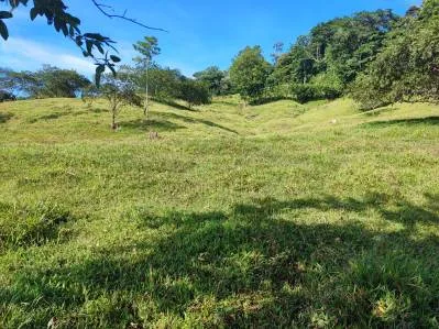 ¡Oportunidad Única! Finca de 6 Hectáreas en el Paraíso de Bribri, Costa Rica, photo 6