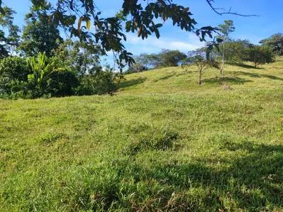 ¡Oportunidad Única! Finca de 6 Hectáreas en el Paraíso de Bribri, Costa Rica, photo 7