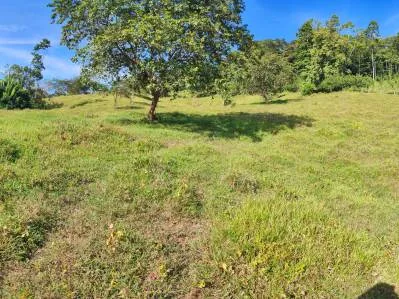 ¡Oportunidad Única! Finca de 6 Hectáreas en el Paraíso de Bribri, Costa Rica, photo 8