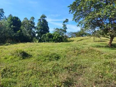¡Oportunidad Única! Finca de 6 Hectáreas en el Paraíso de Bribri, Costa Rica, photo 9