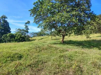 ¡Oportunidad Única! Finca de 6 Hectáreas en el Paraíso de Bribri, Costa Rica, photo 10