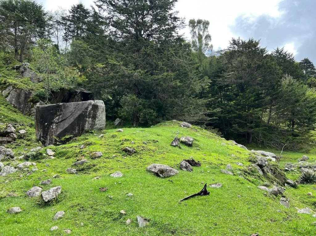 FINCA HERRADURA EN VENTA: 100.6 HA DE RESERVA HIDRICA Y FORESTAL EN EL CHIRRIPO - Venta en Pérez Zeledón