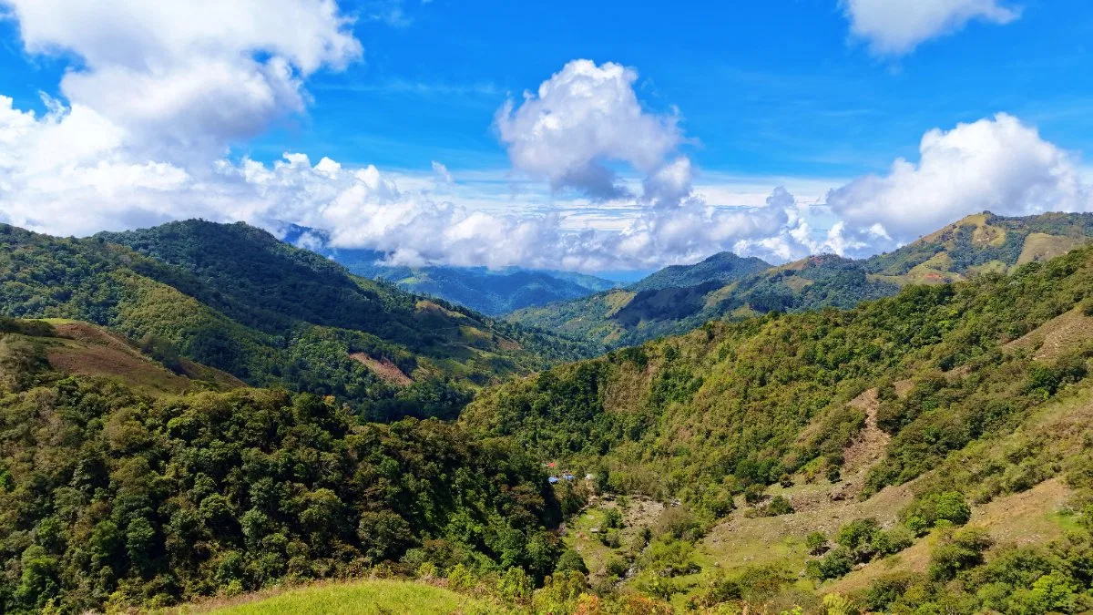 FINCA HERRADURA EN VENTA: 100.6 HA DE RESERVA HIDRICA Y FORESTAL EN EL CHIRRIPO - Venta en Pérez Zeledón, photo 7