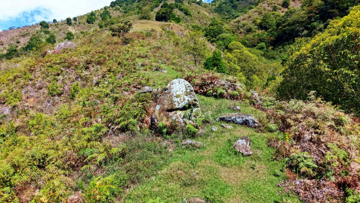 FINCA HERRADURA EN VENTA: 100.6 HA DE RESERVA HIDRICA Y FORESTAL EN EL CHIRRIPO - Venta en Pérez Zeledón, photo 8