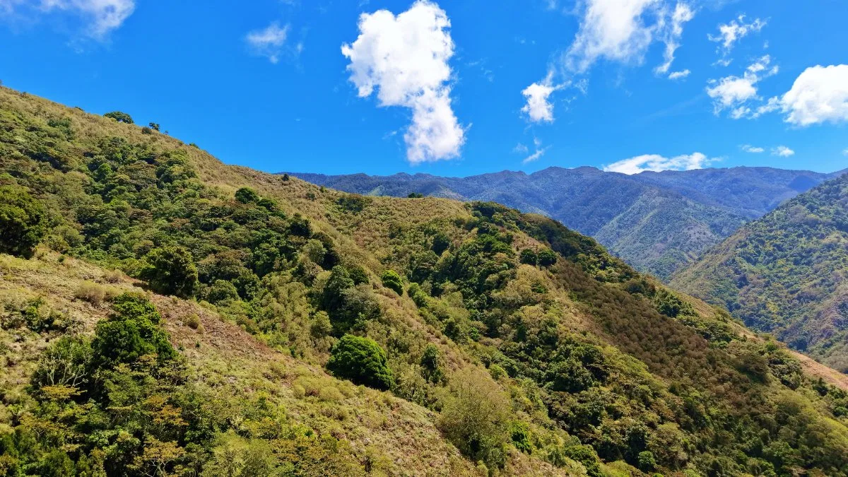 FINCA HERRADURA EN VENTA: 100.6 HA DE RESERVA HIDRICA Y FORESTAL EN EL CHIRRIPO - Venta en Pérez Zeledón, photo 9