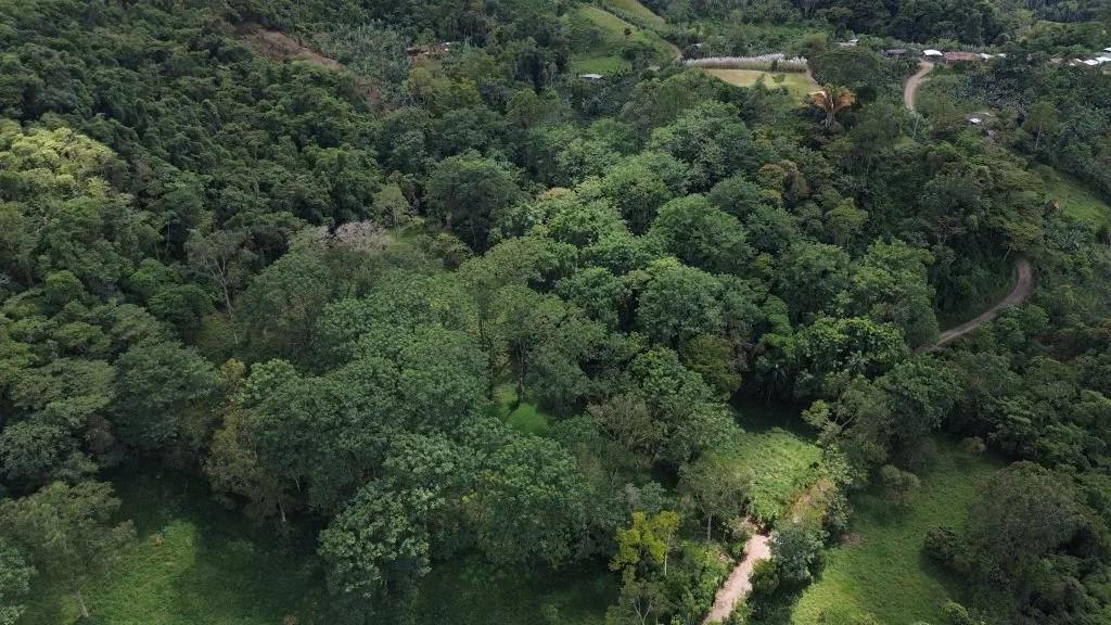 VENTA DE LOTE RESIDENCIAL Y TURISTICO EN SAN FRANCISCO DE RIVAS, PEREZ ZELEDON - Venta en Pérez Zeledón
