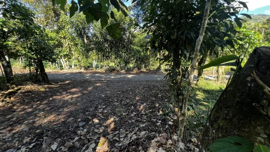 VENTA DE LOTE RESIDENCIAL Y TURISTICO EN SAN FRANCISCO DE RIVAS, PEREZ ZELEDON - Venta en Pérez Zeledón, photo 2
