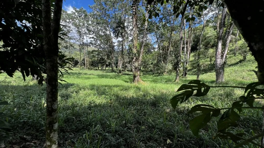 VENTA DE LOTE RESIDENCIAL Y TURISTICO EN SAN FRANCISCO DE RIVAS, PEREZ ZELEDON - Venta en Pérez Zeledón, photo 4