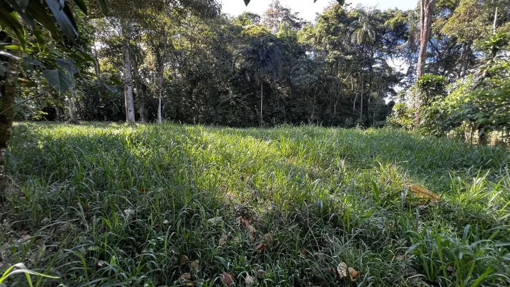 VENTA DE LOTE RESIDENCIAL Y TURISTICO EN SAN FRANCISCO DE RIVAS, PEREZ ZELEDON - Venta en Pérez Zeledón, photo 8