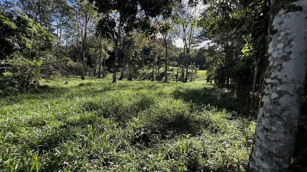 VENTA DE LOTE RESIDENCIAL Y TURISTICO EN SAN FRANCISCO DE RIVAS, PEREZ ZELEDON - Venta en Pérez Zeledón, photo 9